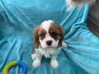 processed/375c28c1-0d6f-4f9c-9ff9-73a358e7af88/listing/a887844b-06d9-4b38-9a15-5b777d40e4e1/7cf4407c-dd07-4ee5-9d10-d709f5b6843d