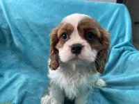 processed/375c28c1-0d6f-4f9c-9ff9-73a358e7af88/listing/a887844b-06d9-4b38-9a15-5b777d40e4e1/83163af3-21dd-483a-9238-e62119ac48dc