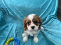 processed/375c28c1-0d6f-4f9c-9ff9-73a358e7af88/listing/a887844b-06d9-4b38-9a15-5b777d40e4e1/961fa22c-07e1-49d5-bb36-4944d7c53c17