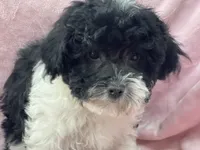 processed/375c28c1-0d6f-4f9c-9ff9-73a358e7af88/listing/fecabbfb-cc23-4216-925b-25de086a1262/2efe61c1-b4df-4bc5-a501-da0cf86a6d44