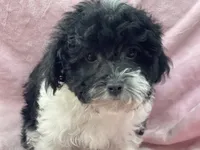 processed/375c28c1-0d6f-4f9c-9ff9-73a358e7af88/listing/fecabbfb-cc23-4216-925b-25de086a1262/3ad91d5e-e06c-4532-a64d-e6fc70f07476