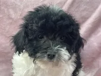 processed/375c28c1-0d6f-4f9c-9ff9-73a358e7af88/listing/fecabbfb-cc23-4216-925b-25de086a1262/578cfddf-d461-4885-9045-ae55cc9dc07b