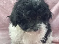 processed/375c28c1-0d6f-4f9c-9ff9-73a358e7af88/listing/fecabbfb-cc23-4216-925b-25de086a1262/5bdfa3fc-1997-4983-a7f8-f9c50072b478