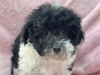 processed/375c28c1-0d6f-4f9c-9ff9-73a358e7af88/listing/fecabbfb-cc23-4216-925b-25de086a1262/8401f36d-4a52-414b-90a5-568ec327d6f5