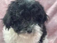 processed/375c28c1-0d6f-4f9c-9ff9-73a358e7af88/listing/fecabbfb-cc23-4216-925b-25de086a1262/a468bd18-9201-412d-a7f6-85bb247cdf4f