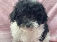 processed/375c28c1-0d6f-4f9c-9ff9-73a358e7af88/listing/fecabbfb-cc23-4216-925b-25de086a1262/c299f8ba-1559-432d-a11e-c6ef1d7b2686