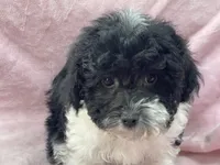 processed/375c28c1-0d6f-4f9c-9ff9-73a358e7af88/listing/fecabbfb-cc23-4216-925b-25de086a1262/ebfca38f-ec8b-4a90-8482-fa3bc0738fea