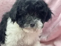 processed/375c28c1-0d6f-4f9c-9ff9-73a358e7af88/listing/fecabbfb-cc23-4216-925b-25de086a1262/ecd02612-f275-4389-842a-06865493d454