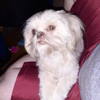 processed/375ec365-2998-4d32-81ec-1399e21bd41e/facility/b2e117d7-35c4-4cbe-b966-093a6891aa74