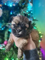 processed/375ec365-2998-4d32-81ec-1399e21bd41e/listing/0e74bb9c-d80d-49bf-819f-2531fff59870/2cf1b7f1-6cc1-47d1-9436-c80424381ef2