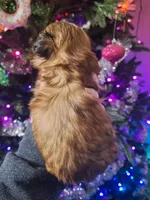 processed/375ec365-2998-4d32-81ec-1399e21bd41e/listing/0e74bb9c-d80d-49bf-819f-2531fff59870/a25bbf10-6a9d-4312-8957-03d976623ae7