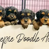 processed/3760f2b1-e9c1-4dbb-a918-a22951c88c58/facility/b473d6ee-82b4-415f-bb3d-d25edf0556a3