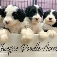 processed/3760f2b1-e9c1-4dbb-a918-a22951c88c58/facility/df6727d2-d9c0-402c-9cb3-3eecb1df8475