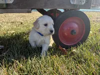 processed/376de160-2707-4306-bb64-3b5689ad5d30/listing/f7b0463b-0e3b-4acc-9625-93fd61871bb3/3d415c2a-f9b0-465b-a106-ff322622871c