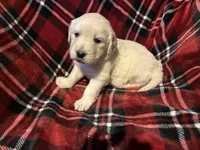 processed/376de160-2707-4306-bb64-3b5689ad5d30/listing/f7b0463b-0e3b-4acc-9625-93fd61871bb3/47c2bf6f-d0b9-49ec-b456-3a9c6499ab81