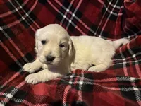 processed/376de160-2707-4306-bb64-3b5689ad5d30/listing/f7b0463b-0e3b-4acc-9625-93fd61871bb3/d11894fa-94cb-48fc-aca4-d6711b6153b2