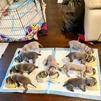 processed/376e7520-977d-4017-b858-564a3e2adfad/facility/b0bc525d-0377-4f4e-8475-d11bca5b0819