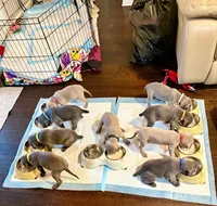 processed/376e7520-977d-4017-b858-564a3e2adfad/facility/b0bc525d-0377-4f4e-8475-d11bca5b0819