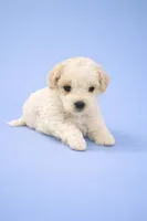 processed/3774b585-a7b6-4946-836e-9cf258f7720c/listing/0fc88db4-5afd-48b2-bfd9-a32ccc240445/50539e90-d9f6-4a75-a957-782e0339cecd