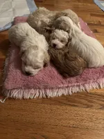 processed/3774b585-a7b6-4946-836e-9cf258f7720c/listing/0fc88db4-5afd-48b2-bfd9-a32ccc240445/a215c6f1-5162-4238-82fb-9b326f89e238