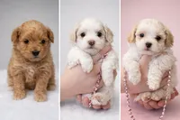 processed/3774b585-a7b6-4946-836e-9cf258f7720c/listing/a0cb3525-4109-4cbc-8183-19598b1f2900/f1a56cc8-54db-45ab-842b-e9067dc8ca3b