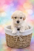 processed/3774b585-a7b6-4946-836e-9cf258f7720c/listing/d4a17377-9cec-466f-8f0b-5bf4962e6a31/935a0f82-b652-4fb7-afc9-b751f6f13458