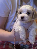 processed/3774b585-a7b6-4946-836e-9cf258f7720c/listing/db6d339b-5736-40d4-8a57-13710c7c83a3/9cd4361c-e202-4e8f-bccf-68930bd432e7