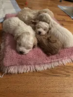 processed/3774b585-a7b6-4946-836e-9cf258f7720c/listing/db6d339b-5736-40d4-8a57-13710c7c83a3/dca3825d-fba7-4222-b90c-822e816bf64f