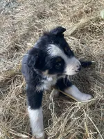 processed/37762568-6e1d-4539-b6d5-9adf55f31d44/listing/115aa0c1-40a3-4cec-b43e-7d9a9500a8e5/f43b23f9-666a-48b3-a369-aa9cd2f0bb68