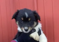 processed/37762568-6e1d-4539-b6d5-9adf55f31d44/listing/2a0be921-770f-4438-8bfd-6e66ce47c983/74678583-0766-44fd-8099-c58d8e4417c9