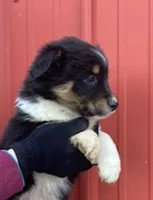 processed/37762568-6e1d-4539-b6d5-9adf55f31d44/listing/2a0be921-770f-4438-8bfd-6e66ce47c983/75f33e79-93d5-4efc-8830-0870691a7cdc