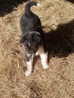 processed/37762568-6e1d-4539-b6d5-9adf55f31d44/listing/2a0be921-770f-4438-8bfd-6e66ce47c983/7e0c961c-5b12-4a8d-9fa7-c209f2a965bd