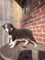 processed/37762568-6e1d-4539-b6d5-9adf55f31d44/listing/4059e78b-6b18-4eb5-a5fc-e4d7c237454b/1fd351bc-bf97-4e89-81a7-e34be662339d