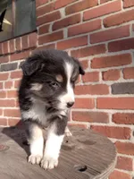 processed/37762568-6e1d-4539-b6d5-9adf55f31d44/listing/4059e78b-6b18-4eb5-a5fc-e4d7c237454b/493d85a5-3506-49e4-a75e-9b0e9d9cd27c