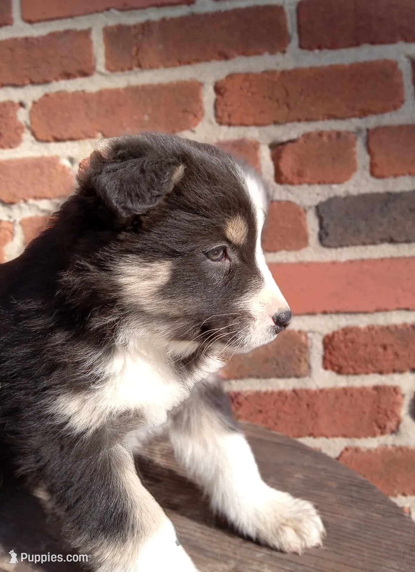 processed/37762568-6e1d-4539-b6d5-9adf55f31d44/listing/4059e78b-6b18-4eb5-a5fc-e4d7c237454b/7b0ec482-08d4-4c31-9841-f75c7818bdc6