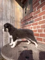 processed/37762568-6e1d-4539-b6d5-9adf55f31d44/listing/4059e78b-6b18-4eb5-a5fc-e4d7c237454b/8c22f011-bea1-4a2e-9887-90a87019f53d