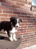 processed/37762568-6e1d-4539-b6d5-9adf55f31d44/listing/4059e78b-6b18-4eb5-a5fc-e4d7c237454b/bc7d899e-e9f9-4dc7-afb5-5db64925dbf7