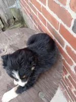 processed/37762568-6e1d-4539-b6d5-9adf55f31d44/listing/5db733cf-2b64-4e75-963b-98e9d3c5a415/1f99a347-20a3-4cb1-950d-7cc82fbff7b9