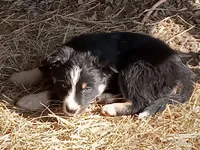 processed/37762568-6e1d-4539-b6d5-9adf55f31d44/listing/5db733cf-2b64-4e75-963b-98e9d3c5a415/2d7debda-fc19-4673-ab6f-662848805beb