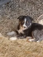 processed/37762568-6e1d-4539-b6d5-9adf55f31d44/listing/5db733cf-2b64-4e75-963b-98e9d3c5a415/30d50de1-f4e3-4319-9501-b170522fe009