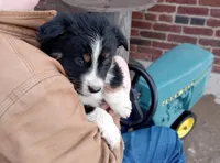 processed/37762568-6e1d-4539-b6d5-9adf55f31d44/listing/5db733cf-2b64-4e75-963b-98e9d3c5a415/4bd145e1-c4e9-42d0-b2ec-528fdd0d1122