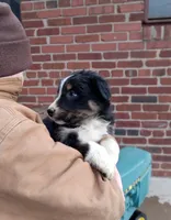 processed/37762568-6e1d-4539-b6d5-9adf55f31d44/listing/5db733cf-2b64-4e75-963b-98e9d3c5a415/c6fb77e8-0c67-48bf-bf08-b1f801eb4ec4