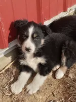 processed/37762568-6e1d-4539-b6d5-9adf55f31d44/listing/7cdbc764-7759-49de-91d0-f94e9a502930/3cdb3010-860b-451e-a687-9e9c2f86e297