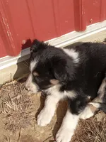 processed/37762568-6e1d-4539-b6d5-9adf55f31d44/listing/7cdbc764-7759-49de-91d0-f94e9a502930/84e9fd4d-4f4f-47c1-8122-16bbc7f2d02e