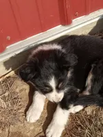 processed/37762568-6e1d-4539-b6d5-9adf55f31d44/listing/7cdbc764-7759-49de-91d0-f94e9a502930/b4cbb9c9-2aaf-4710-9887-c0092fab7fc8