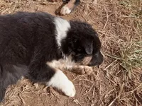 processed/37762568-6e1d-4539-b6d5-9adf55f31d44/listing/7cdbc764-7759-49de-91d0-f94e9a502930/fef53a60-df86-45b1-9ceb-c0cf456c2030