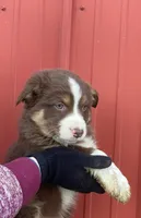 processed/37762568-6e1d-4539-b6d5-9adf55f31d44/listing/8ca7f898-f524-4d96-8391-da696cdb01f6/21e93c05-23de-400e-92f0-bf557ca0393f