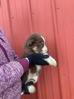 processed/37762568-6e1d-4539-b6d5-9adf55f31d44/listing/8ca7f898-f524-4d96-8391-da696cdb01f6/6c4fad1d-f552-41df-8d88-faf0cafd4e40