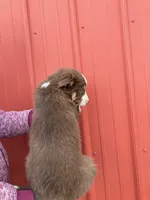 processed/37762568-6e1d-4539-b6d5-9adf55f31d44/listing/8ca7f898-f524-4d96-8391-da696cdb01f6/7167264a-6595-4f97-8152-db1dc4deee09