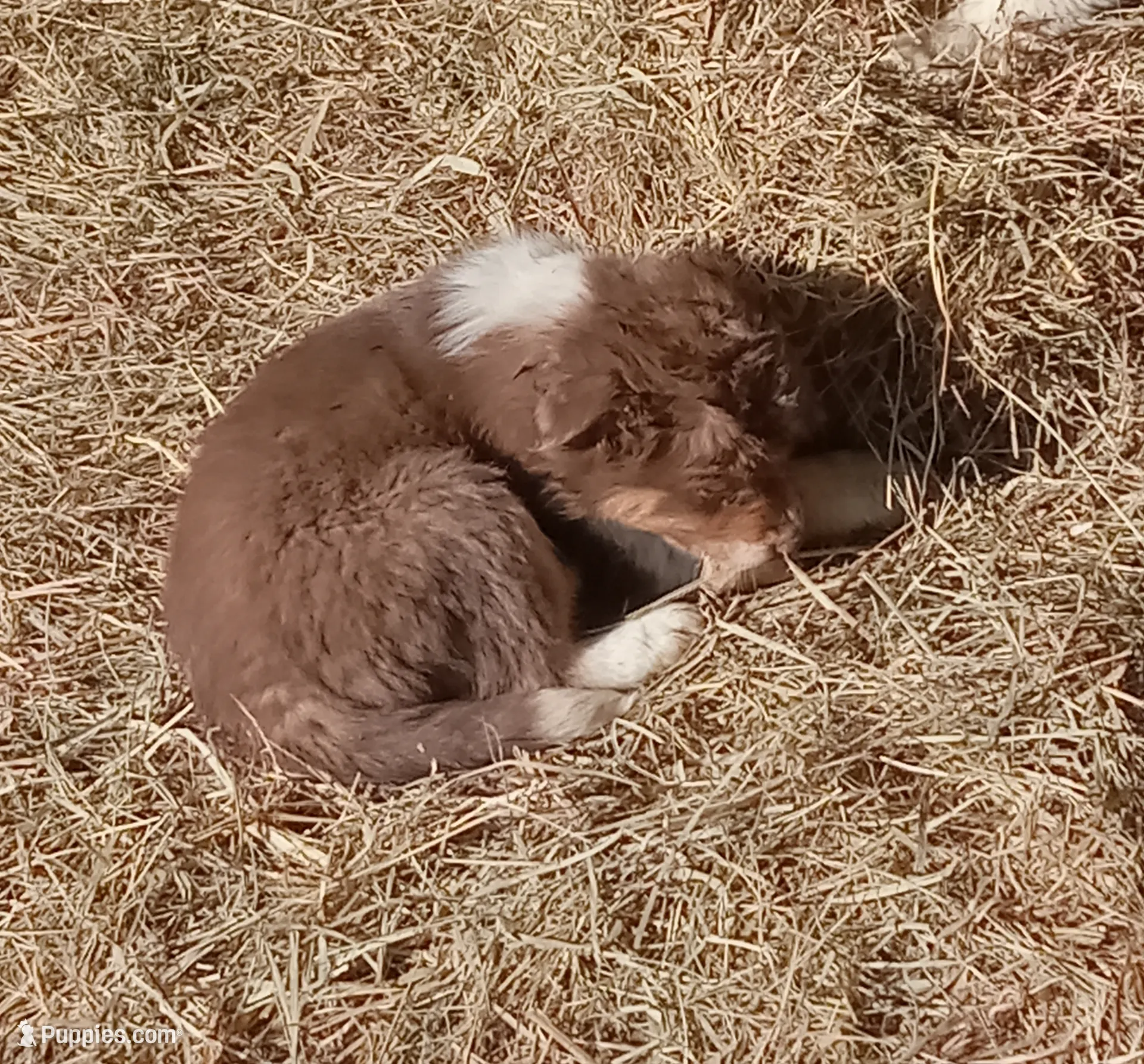 processed/37762568-6e1d-4539-b6d5-9adf55f31d44/listing/9519dd6a-7335-4d69-ada2-7bb0a0f506e7/378b83d8-4dd5-4873-a525-512f0d80e6f7